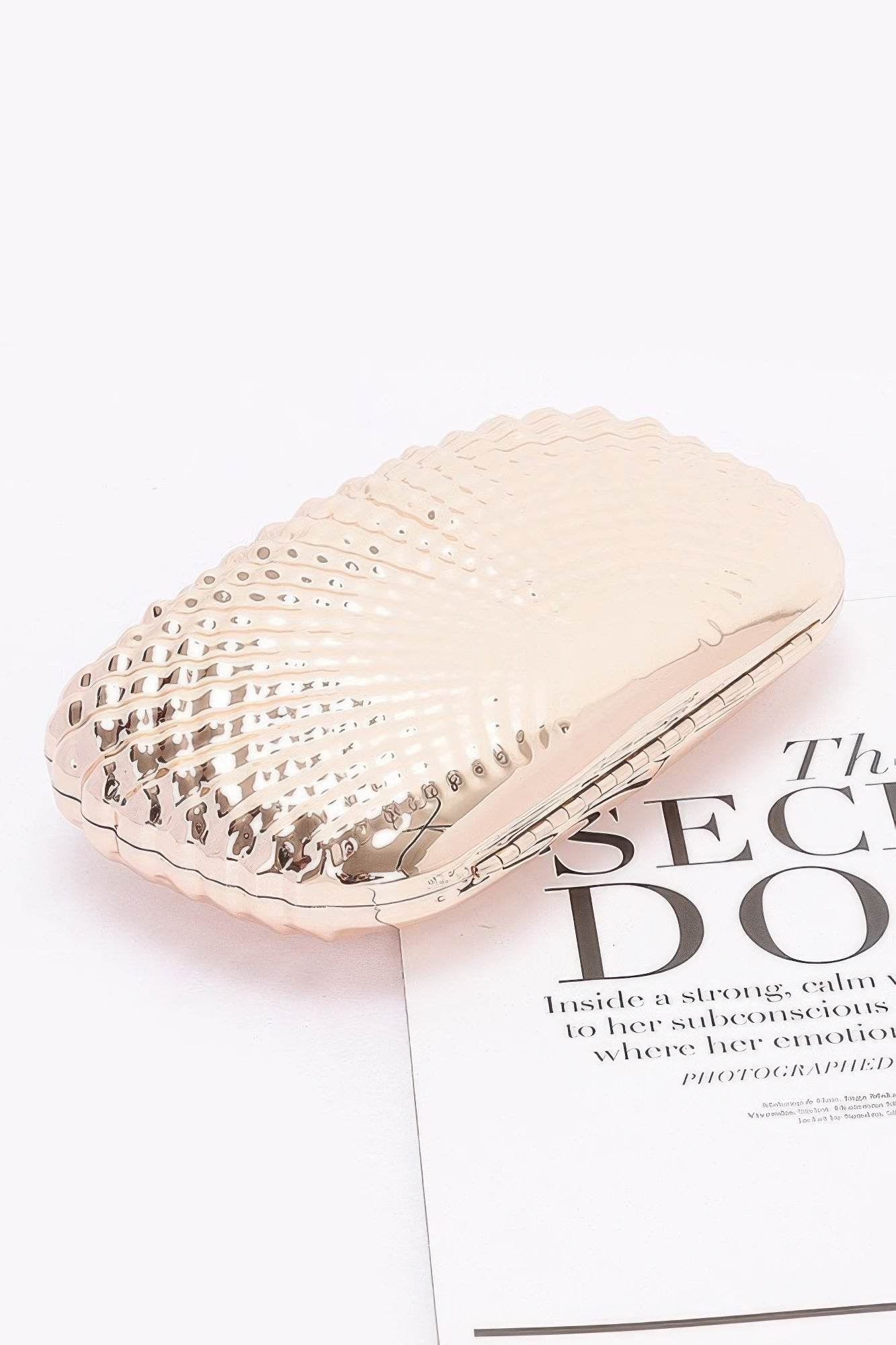 Metal Case Clutch - LLR Chic