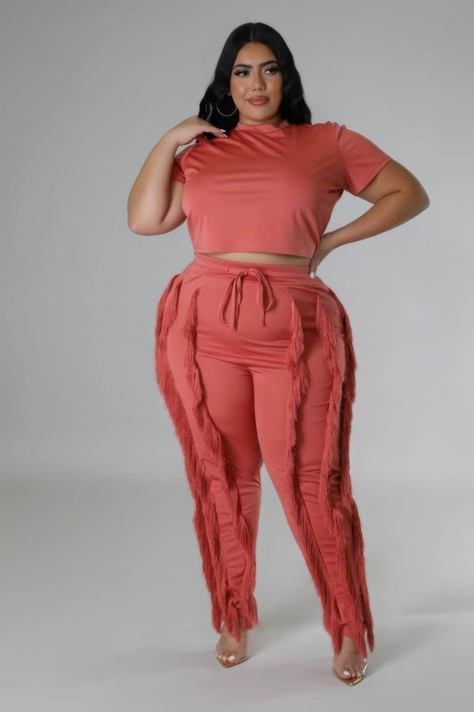 Crop Top Two-piece Set - LLR Chic