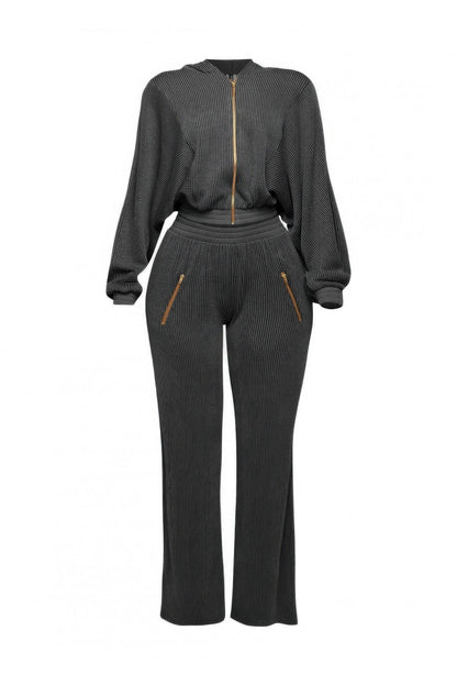 Zipper Closure Hoodie Jacket & Pants Set - LLR Chic